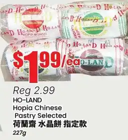 Terra Foodmart HO-LAND Hopia Chinese Pastry Selected offer