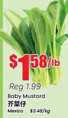 Terra Foodmart Baby Mustard offer