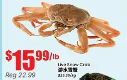 Terra Foodmart Live Snow Crab offer