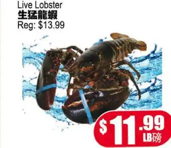 Yuan Ming Supermarket Live Lobster offer