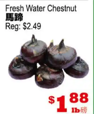Yuan Ming Supermarket Fresh Water Chestnut offer
