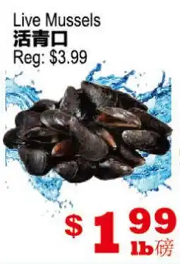 Yuan Ming Supermarket Live Mussels offer