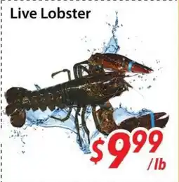 Bestco Food Mart Live Lobster offer
