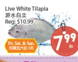 Fresh Palace Supermarket Live White Tilapia offer