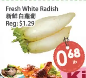 Fresh Palace Supermarket Fresh White Radish offer