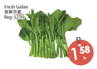 Fresh Palace Supermarket Fresh Gailan offer