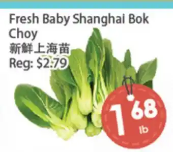 Fresh Palace Supermarket Fresh Baby Shanghai Bok Choy offer