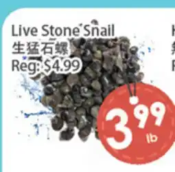 Fresh Palace Supermarket Live Stone Snail offer