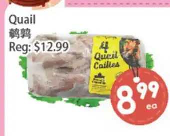 Fresh Palace Supermarket Quail offer