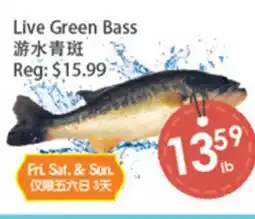 Fresh Palace Supermarket Live Green Bass offer