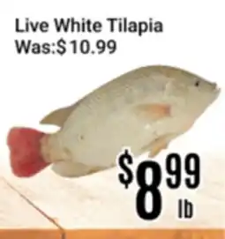 Nations Fresh Foods Live White Tilapia offer