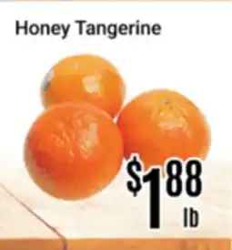 Nations Fresh Foods Honey Tangerine offer