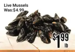 Nations Fresh Foods Live Mussels offer