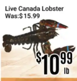 Nations Fresh Foods Live Canada Lobster offer
