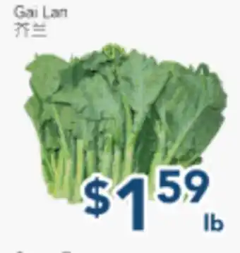 Oceans Fresh Food Market Gai Lan offer
