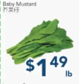 Oceans Fresh Food Market Baby Mustard offer