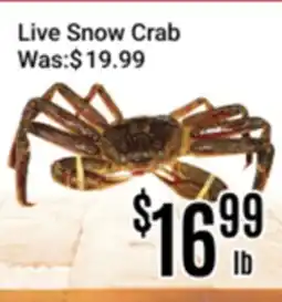 Nations Fresh Foods Live Snow Crab offer