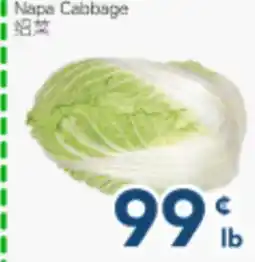 Oceans Fresh Food Market Napa Cabbage offer