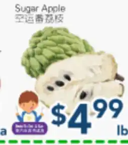 Oceans Fresh Food Market Sugar Apple offer