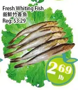 Food Depot Supermarket Fresh Whiting Fish offer
