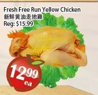 Food Depot Supermarket Fresh Free Run Yellow Chicken offer