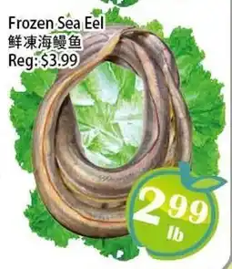 Food Depot Supermarket Frozen Sea Eel offer