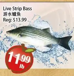 Food Depot Supermarket Live Strip Bass offer
