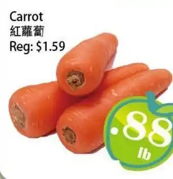 Food Depot Supermarket Carrot offer