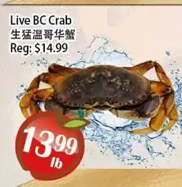 Food Depot Supermarket Live BC Crab offer