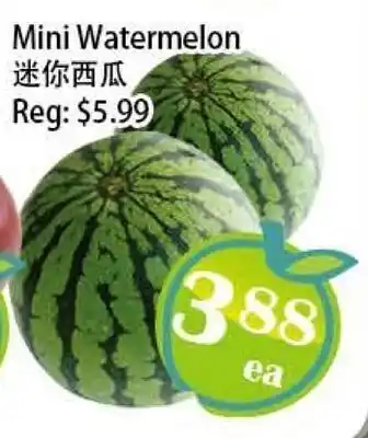 Food Depot Supermarket Mini Watermelon offer
