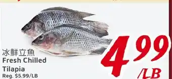 United Supermarket Fresh Chilled Tilapia offer