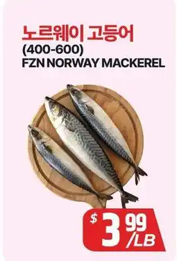 PAT Mart FZN NORWAY MACKEREL offer