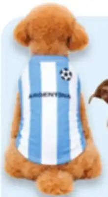 Walmart One Paw dog apparel, toys or accessories offer