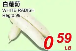 Foody World White radish offer