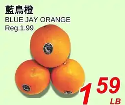 Foody World Blue jay orange offer