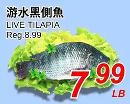 Foody World Live tilapia offer