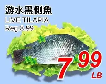 Foody World Live tilapia offer