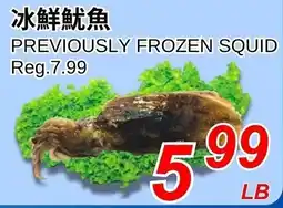 Foody World Previously frozen squid offer