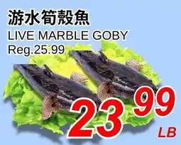 Foody World Live marble goby offer