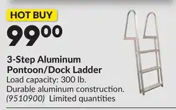 Princess Auto 3-Step Aluminum Pontoon/Dock Ladder offer