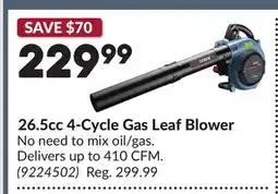 Princess Auto 26.5cc 4-Cycle Gas Leaf Blower offer