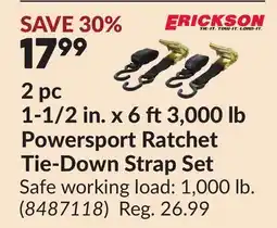 Princess Auto 2 pc 1-1/2 in. x 6 ft3,000 lb Powersport Ratchet Tie-Down Strap Set offer