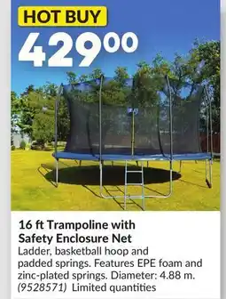 Princess Auto 16 ftTrampoline with Safety Enclosure Net offer