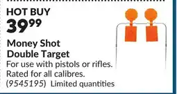 Princess Auto Money Shot Double Target offer