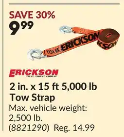 Princess Auto 2 in. x 15 ft5,000 lb Tow Strap offer