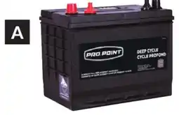 Princess Auto Deep Cycle Batteries offer