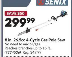 Princess Auto 8 in. 26.5cc 4-Cycle Gas Pole Saw offer