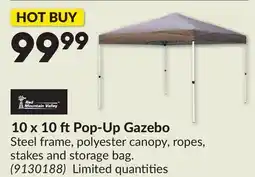 Princess Auto 10 x 10 ftPop-Up Gazebo offer