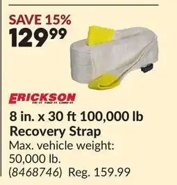 Princess Auto 8 in. x 30 ft100,000 lb Recovery Strap offer