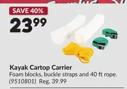 Princess Auto Kayak Cartop Carrier offer